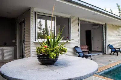a potted plant sitting on a table on a patio at Idyllic studio with private pool in Nicosia