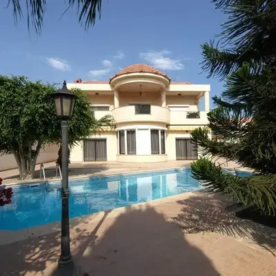 Patatas Villa