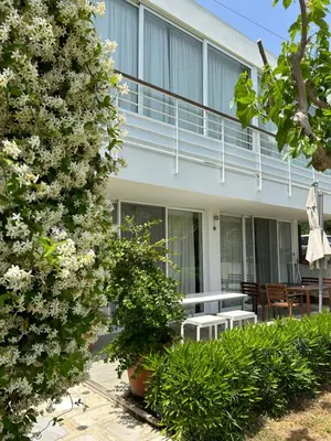 a house with a flowering tree in front of it at Art by PraXis in Governors Beach