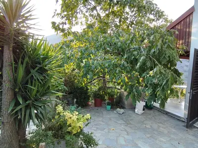 a garden with trees and plants on a patio at Kampi Double Storey House in the Village in Nicosia