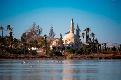 a flock of birds in the water near a mosque at Blue Serenity Complex in Larnaka