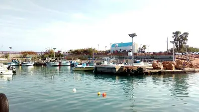 a group of boats docked in a harbor at Villa Emiliana in Paralimni