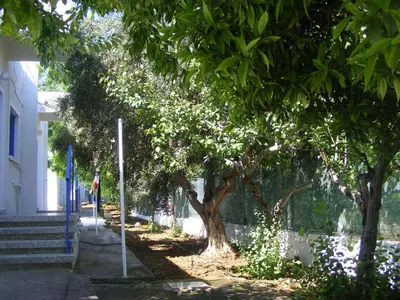a tree on the side of a sidewalk next to a building at Flokkas Hotel Apartments in Protaras