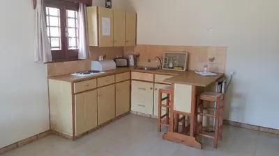 a kitchen with wooden cabinets and a sink and a counter at Pelekanos Apartments in Pissouri