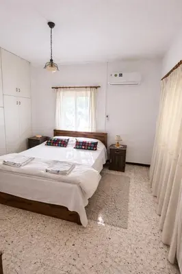 a bedroom with a large bed and a window at Forest Park Villa in Lemithou