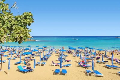 a beach filled with lots of chairs and umbrellas at FIG TREE GIANNIS in Protaras