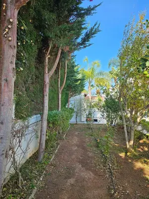 a dirt path with trees on the side of a house at FAMILY HOME in Protaras