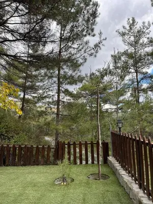 a tree in a yard next to a fence at Kardama HideAway in Kato Amiandos