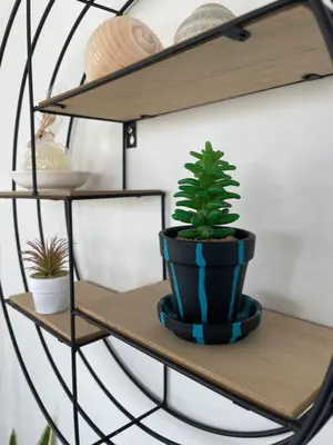 a plant sitting on a shelf with a plant at VILLA CATALEYA Fig Tree Bay Protaras Town Center in Protaras