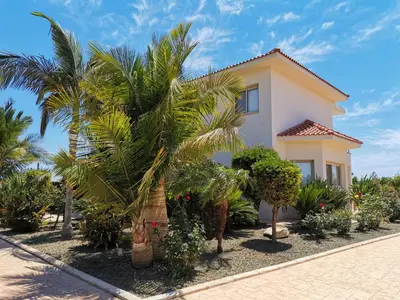 a house with palm trees in front of it at Orchard Blossom Private Villa With Pool in Phrenaros