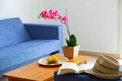 a living room with a table with a book and a plant at Paloma Hotel Apartments in Ayia Napa