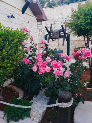 a bunch of pink roses in a garden at Lofou Traditional House in Lofou