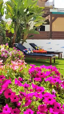 a bunch of pink flowers in front of a bench at Palm Paradise Villa in Ayia Napa