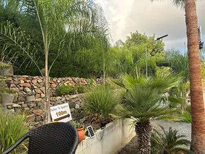 a chair in a garden with palm trees and a rock wall at SOFROS VALLEY HILLS CHALET in Ayios Mamas