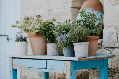 a blue table with potted plants on it at Villa Avgoustis in Pachna
