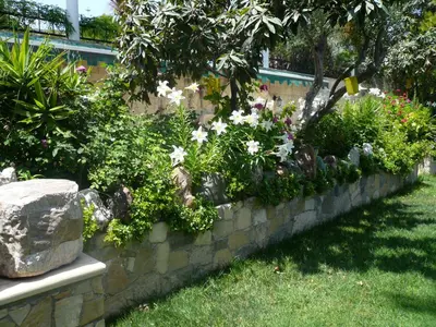 a stone retaining wall with flowers and plants at Greenfields Country Club in Limassol