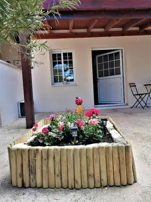 a flower bed in front of a house at Lemon Tree Courtyard in Larnaka