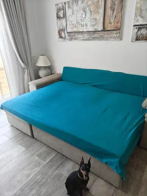 a black dog sitting on the floor next to a bed at Aquamarine in Voroklini