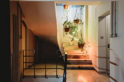 a stairway with potted plants on the wall at eins rooms - city center in Limassol