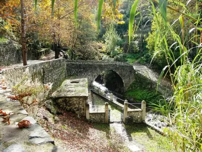 a stone bridge in a garden with a pond at Archontiko I Misirlou in Kalopanayiotis