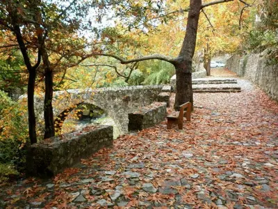 a park with a bench and trees and leaves at Archontiko I Misirlou in Kalopanayiotis