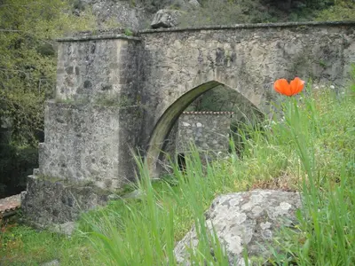 an old stone bridge with a red flower in the grass at Archontiko I Misirlou in Kalopanayiotis