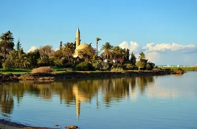 a mosque with palm trees and a body of water at Tony’s Boutique Apartment in Larnaka