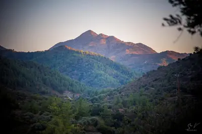 a view of a mountain with trees in the foreground at *2 bdr log house /mountains/Queen bed/fireplace in Gourri