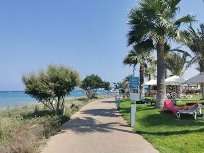 a walking path next to the beach with palm trees at Sea view apartment in Protaras