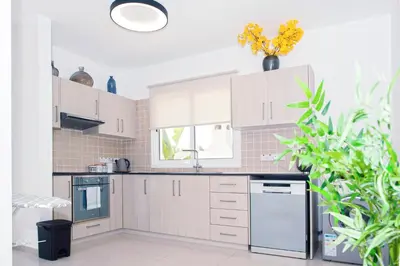 a kitchen with white cabinets and a plant at Nissini Nero, 3 bedroom villa with private pool, 5 min to the beach in Ayia Napa