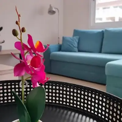 Lovely holiday home
