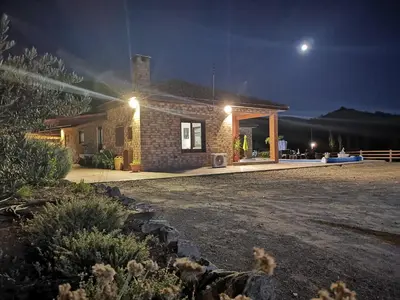 a house with a dog in front of it at night at Kalamospito Holiday House in Kalokhorio