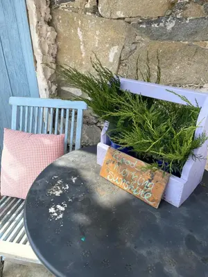 a table with a sign and some plants on it at Holiday House Prodromos in Prodromos