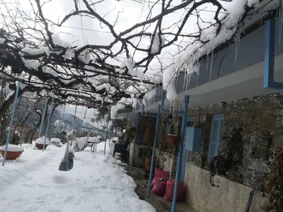 a building with snow on the branches of a tree at Holiday House Prodromos in Prodromos