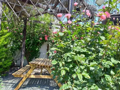 a wooden bench in a garden with pink roses at The Spidaki in Lania