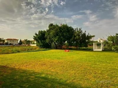 a large grassy field with a tree in the background at Constantaras Apartments in Protaras