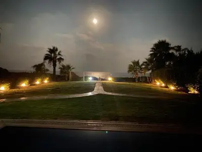 a park with palm trees at night with the moon at Ionion Beachfront Villa in Ayia Napa