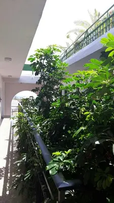 a bunch of green plants in a building at Myriama Apartments in Ayia Napa