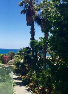 a path with palm trees and the ocean in the background at Modern 2 bedroom Beach Apartment in Limassol
