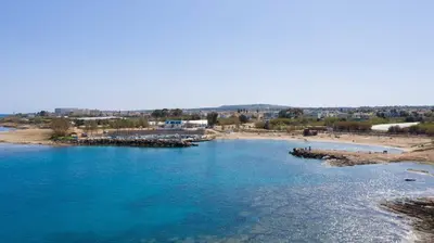an aerial view of a beach and a body of water at Apartment Trident 4 in Paralimni