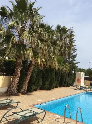 a swimming pool with palm trees and lounge chairs at Villa Natalia in Ayia Napa