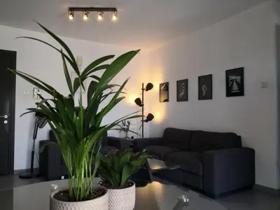 a living room with a couch and a plant at Loizou Holdings Flat 301 in Larnaka