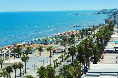 a view of a beach with palm trees and the ocean at Luxury Apartment, near Pinikoudes beach in Larnaka