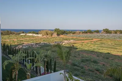 a view of a field of crops with trees and plants at Villa Limni Enas - Luxury And Contemporary 3 Bedroom Kapparis Villa With Sea View in Paralimni