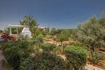 a garden with bushes and trees and a gazebo at Villa Akefalo - Beautiful 3 Bedroom Protaras Villa With Private Pool in Protaras