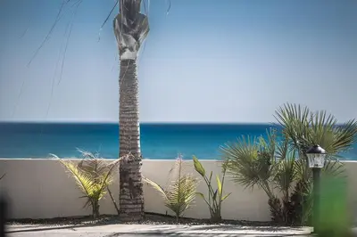 a palm tree in front of a fence with the ocean at Villa Adaman - Stunning 3 Bedroom Seafront Villa With Pool - Close To The Beach in Ayia Napa