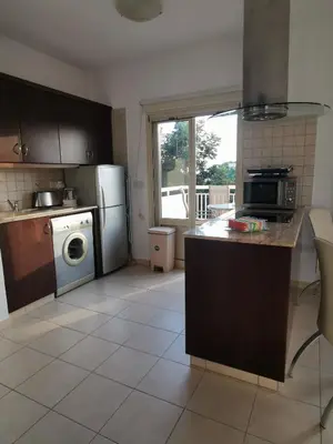 a kitchen with a dishwasher and a washer and dryer at Garden Luxury Apartment Ayia Napa in Ayia Napa