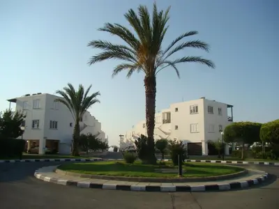 a palm tree in the middle of a street at Yialos Holiday Apartments in Pervolia