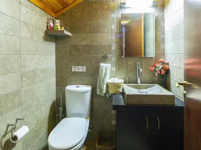 a bathroom with a toilet and a sink at Troodos Riverside Cottage in Kato Amiandos