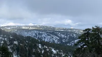 a view of a snow covered mountain with trees at Pinecone Platres - 3 Units in Platres